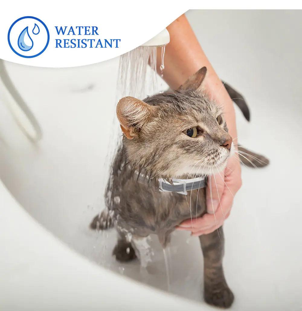 Insect Repellent Flea Collar for Pets