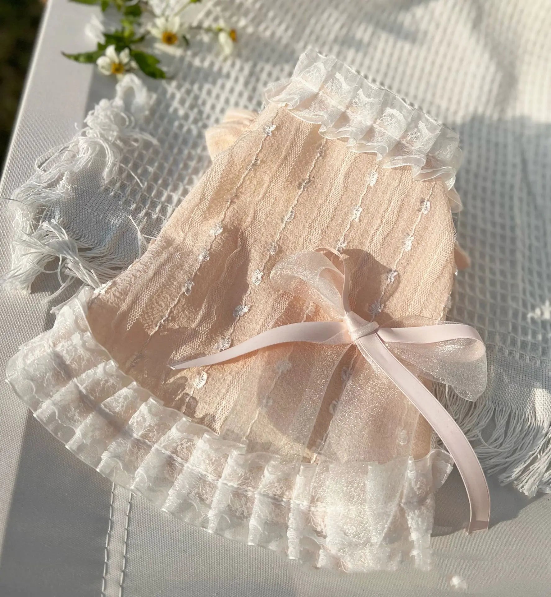 Chiffon Lace Bow Dress for Princess Pets